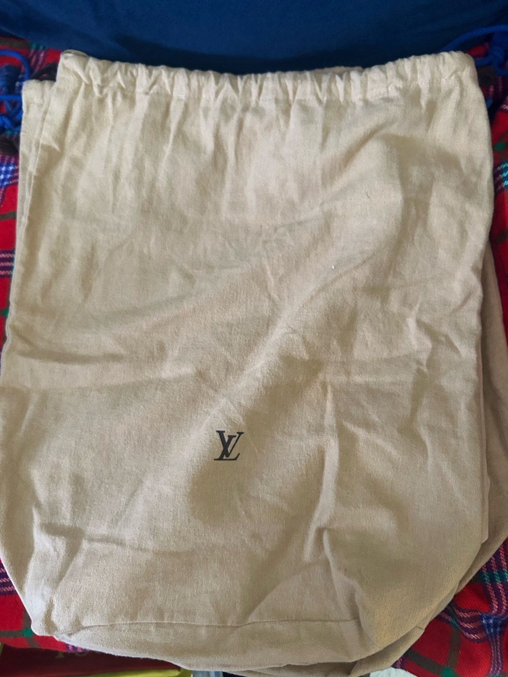 Louis Vuitton Beige Storage Pouch with Black LV Monogram